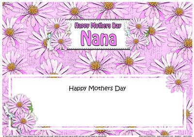 Mothers Day Nana Daisies Floral Large Dl Matching Insert