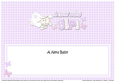 Little Lamb New Baby Girl Large Dl Insert