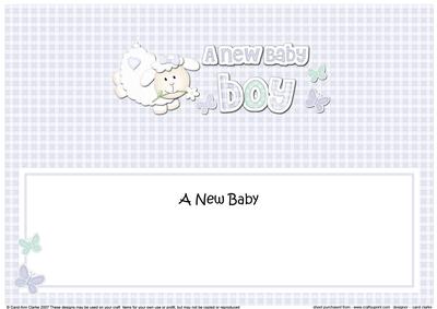 Little Lamb New Baby Boy Large Dl Insert