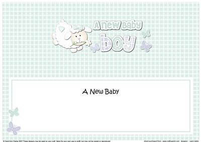 Little Lamb New Baby Boy Large Dl Insert