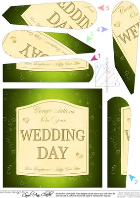 Wedding Day Champers Wine Label Fan Pyramage Topper