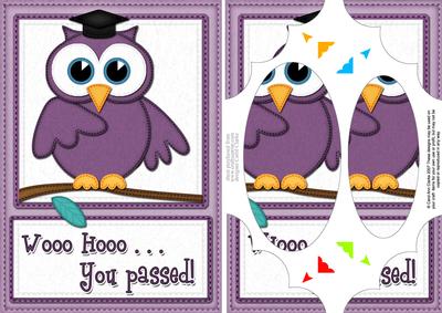 A5 Wise Owl Congrats Felties Scallop Corners N Pyramage