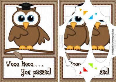 A5 Wise Owl Congrats Felties Scallop Corners N Pyramage