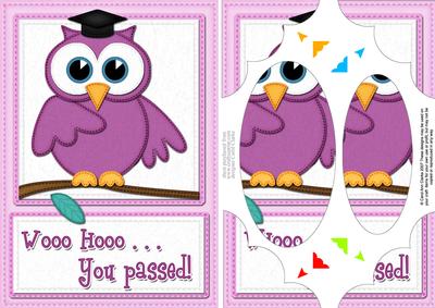 A5 Wise Owl Congrats Felties Scallop Corners N Pyramage