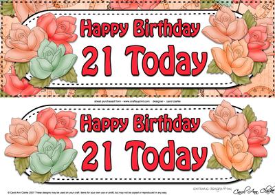 Large Dl 21 Today Roses Card & 3D Decoupage