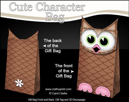 3D Little Hoot Owl Cute Character Gift Bag Mini Kit