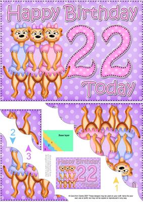 5x7 22nd Birthday Meerkats Scallop Corner