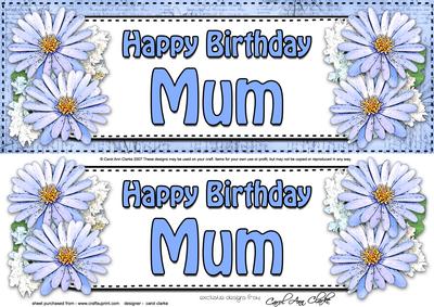 Large Dl Birthday Mum Daisies Floral 3D Decoupage
