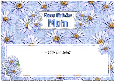 Birthday Mum Daisies Floral Large Dl Matching Insert