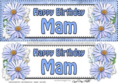 Large Dl Birthday Mam Daisies Floral 3D Decoupage