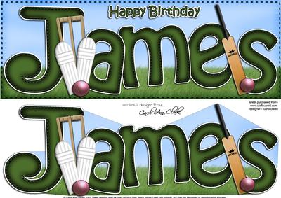 Large Dl Birthday James Cricket Card & 3D Decoupage