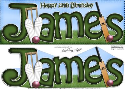 Large Dl 11th Birthday James Cricket Card & 3D Decoupage