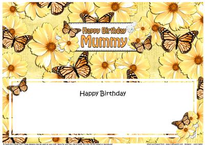 Birthday Mummy Floral Butterflies Large Dl Insert