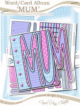 Mum Word Book Kit in Sorbet Blueberry