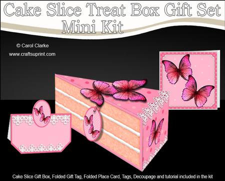 3D Pretty Butterflies Cake Slice Treat Box Gift Set Mini Kit
