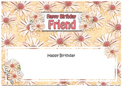 Birthday Friend Daisies Floral Large Dl Matching Insert