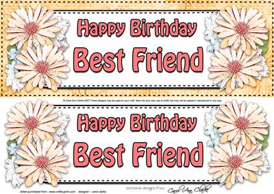 Large Dl Birthday Best Friend Daisies Floral 3D Decoupage