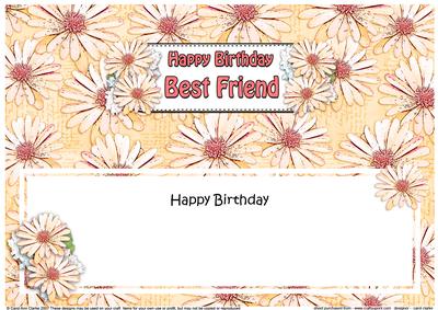 Birthday Best Friend Daisies Floral Large Dl Matching Insert