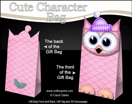 3D Little Hoot Owl Cute Xmas Character Gift Bag Mini Kit