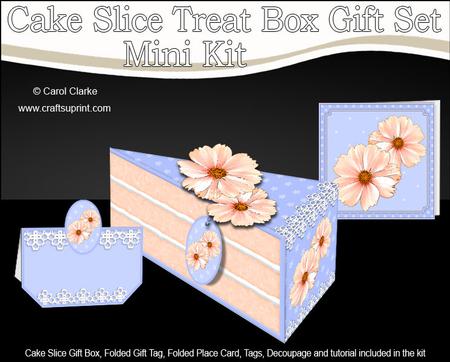 3D Pretty Floral Cake Slice Treat Box Gift Set Mini Kit