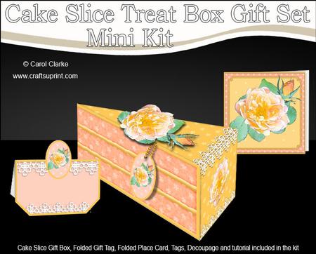 3D Elegant Rose Cake Slice Treat Box Gift Set Mini Kit