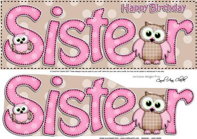 Large Dl Birthday Sister Owls Quick Card N 3D Decoupage