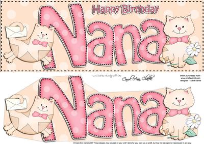 Large Dl Birthday Nana Cat Card & 3D Decoupage