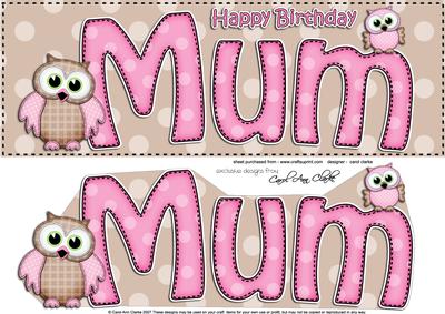 Large Dl Birthday Mum Owls Card & 3D Decoupage