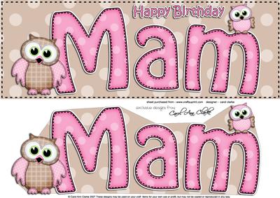 Large Dl Birthday Mam Owls Card & 3D Decoupage