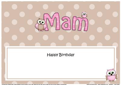 Birthday Mam Owls Large Dl Matching Insert