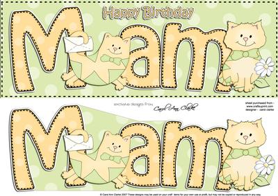 Large Dl Birthday Mam Cat Card & 3D Decoupage