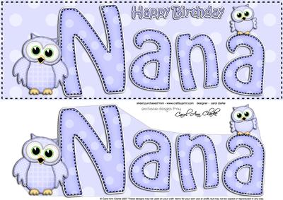 Large Dl Birthday Nana Owls Card & 3D Decoupage
