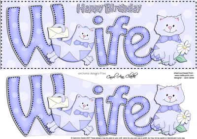 Large Dl Birthday Wife Cat Card & 3D Decoupage