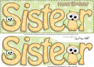 Large Dl Birthday Sister Owls Card & 3D Decoupage