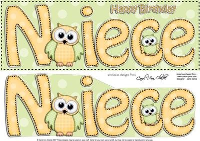 Large Dl Birthday Niece Owls Card & 3D Decoupage