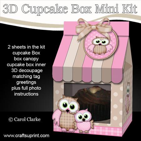 3D Cute Owls Carton Cupcake or Treat Box Mini Kit