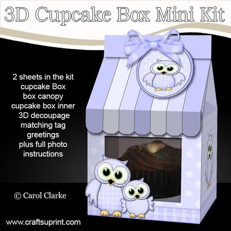 3D Cute Owls Carton Cupcake or Treat Box Mini Kit