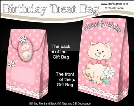 3D Cute Cat Birthday Gift Bag Mini Kit