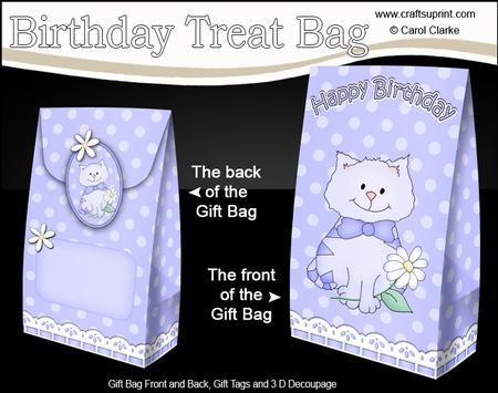 3D Cute Cat Birthday Gift Bag Mini Kit