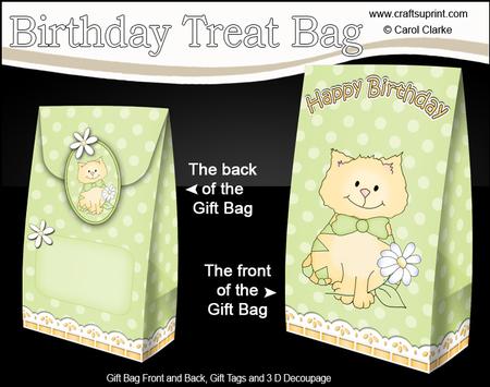 3D Cute Cat Birthday Gift Bag Mini Kit