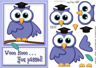A5 Wise Owl Exam Congrats Felties Quick Card 3D Decoupage