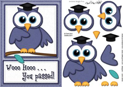 A5 Wise Owl Exam Congrats Felties Quick Card 3D Decoupage