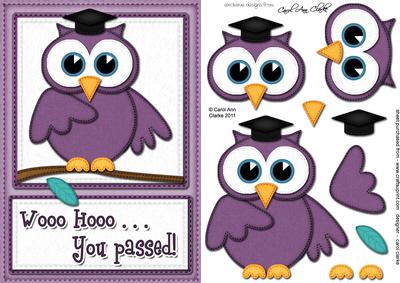 A5 Wise Owl Exam Congrats Felties Quick Card 3D Decoupage
