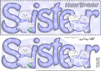Large Dl Birthday Sister Cat Card & 3D Decoupage