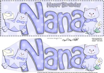 Large Dl Birthday Nana Cat Card & 3D Decoupage