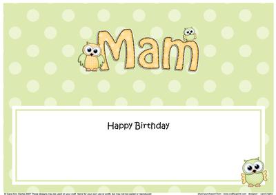Birthday Mam Owls Large Dl Matching Insert