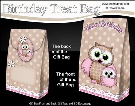 3D Cute Hoot & Little Hoot Owls Birthday Gift Bag Mini Kit
