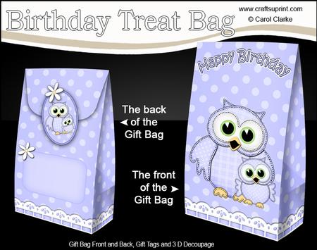3D Cute Hoot & Little Hoot Owls Birthday Gift Bag Mini Kit