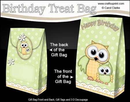 3D Cute Hoot & Little Hoot Owls Birthday Gift Bag Mini Kit