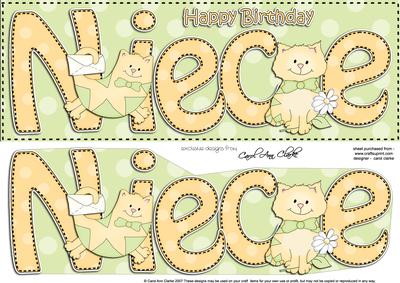 Large Dl Birthday Niece Cat Card & 3D Decoupage